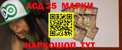 СК Донецк
