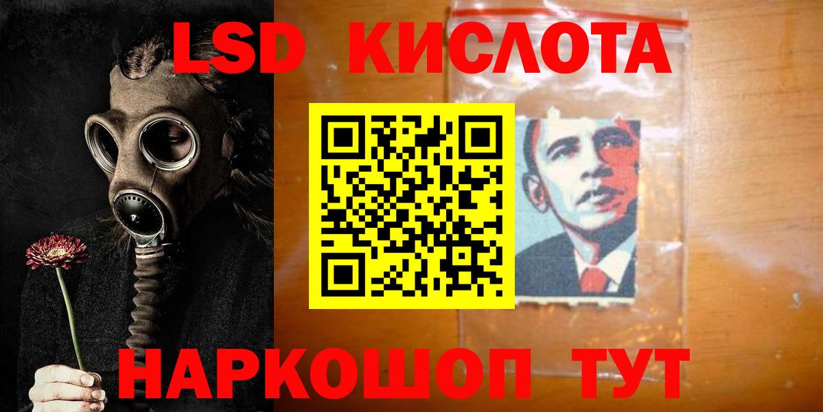 APVP Мичуринск
