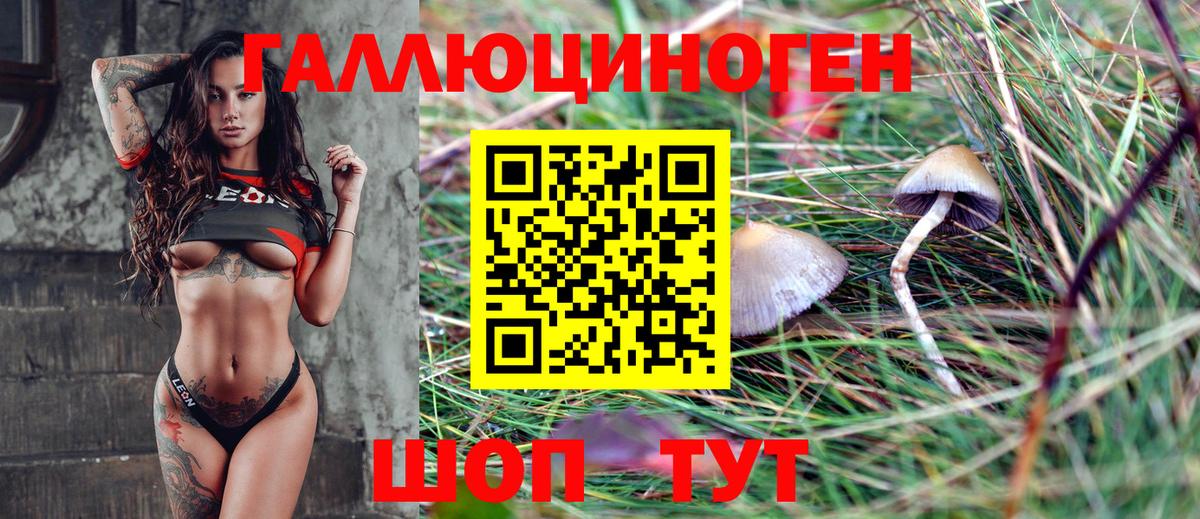 Псилоцибиновые грибы мухоморы Мичуринск